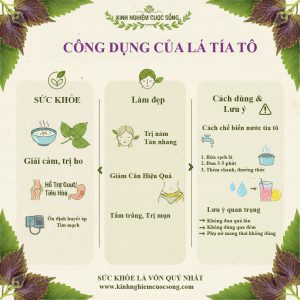 kinh nghiêm cuộc sống