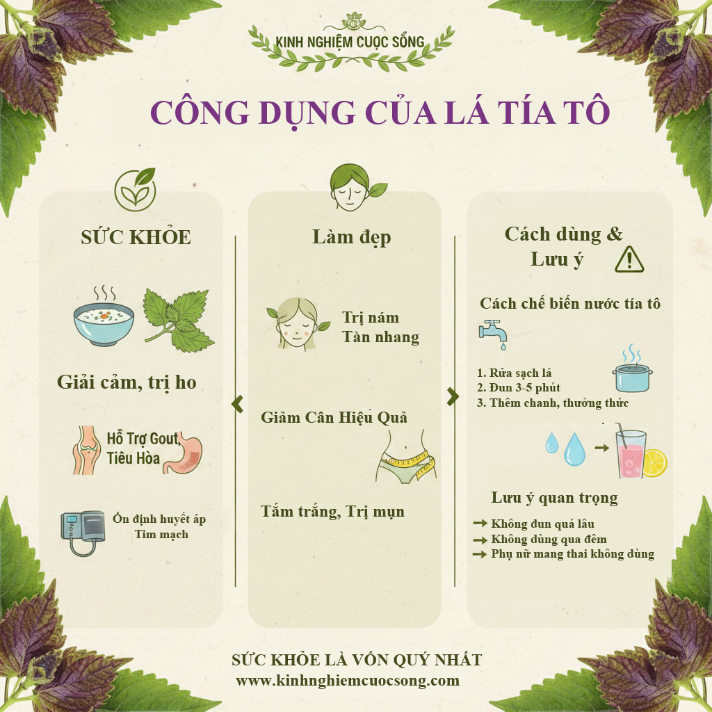 kinh nghiêm cuộc sống